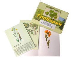 Гербарий "Систематика растений. Семейство Пасленовые. Крестоцветные. Сложноцветные" (раздаточный) - fgospostavki.ru - Москва