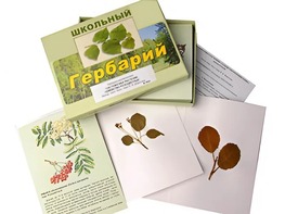 Гербарий "Систематика растений. Семейство Розоцветные" (раздаточный) - fgospostavki.ru - Москва