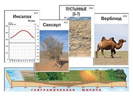 Модель-аппликация "Природные зоны" - fgospostavki.ru - Москва