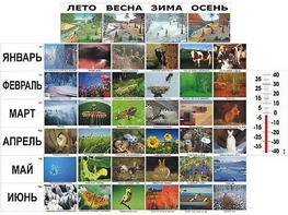 Фенологические наблюдения - fgospostavki.ru - Москва