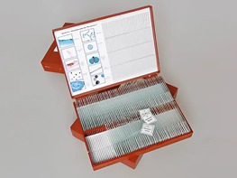 Комплект микропрепаратов "Ботаника 1" - fgospostavki.ru - Москва