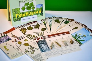 Гербарий к курсу основ общей биологии - fgospostavki.ru - Москва