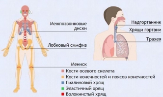 Интерактивные курсы. Биология 9 класс. Базовый. - fgospostavki.ru - Москва
