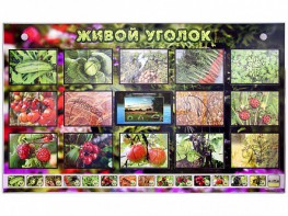 Комплект оборудования "Живой уголок" (растения) с тифлопереводом и сурдокомментариями - fgospostavki.ru - Москва