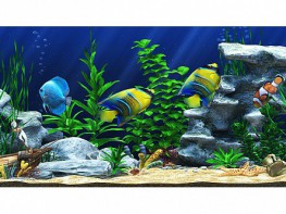 Интерактивный аттракционный комплекс "Водный мир" - fgospostavki.ru - Москва