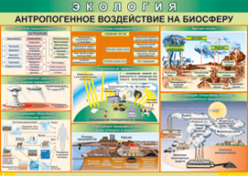 Таблица "Антропогенное воздействие на биосферу" (100х140 сантиметров, винил) - fgospostavki.ru - Москва