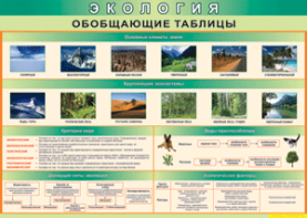 Таблица "Экология. Обобщающие таблицы" (100х140 сантиметров, винил) - fgospostavki.ru - Москва