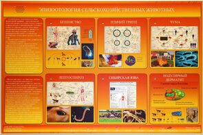 Электрифицированный стенд «Эпизоотология сельскохозяйственных животных» - fgospostavki.ru - Москва