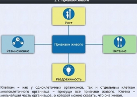 Интерактивные курсы. Биология 5 класс. Базовый - fgospostavki.ru - Москва