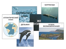 Модель-аппликация "Океаны. Знакомство" (ламинированная) - fgospostavki.ru - Москва