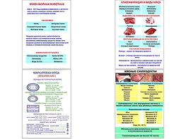 Плакаты ПРОФТЕХ "Классификации и виды мяса" (4 пл, винил, 70х100) - fgospostavki.ru - Москва