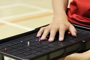 Сетка для игры тактильная (Бочча) - fgospostavki.ru - Москва