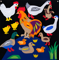 Пособие для слабовидящих детей «Домашние птицы» - fgospostavki.ru - Москва