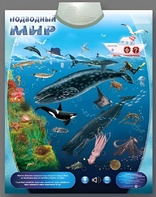 Озвученный плакат "Подводный мир" - fgospostavki.ru - Москва