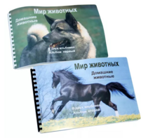 Пособие для слабовидящих - Домашние животные - fgospostavki.ru - Москва