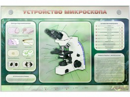 Электрифицированный стенд "Устройство микроскопа и правила работы c ним" - fgospostavki.ru - Москва