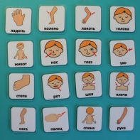 Набор карточек "Части тела" - fgospostavki.ru - Москва