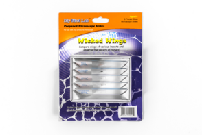 Набор микропрепаратов для микроскопа №5 «Насекомые» - fgospostavki.ru - Москва