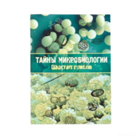 Набор «Тайны микробиологии» (Царство грибов) - fgospostavki.ru - Москва