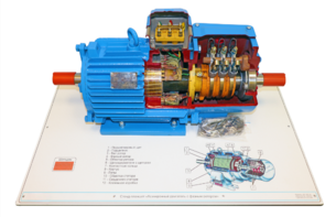 Стенд-планшет «Асинхронный двигатель с фазным ротором» - fgospostavki.ru - Москва