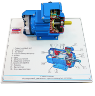 Стенд-планшет «Асинхронный двигатель с короткозамкнутым ротором» - fgospostavki.ru - Москва