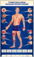Электрифицированный стенд-тренажер "Травматизм и меры оказания первой помощи" - fgospostavki.ru - Москва