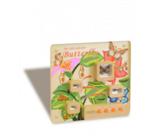 Панель «Жизненный цикл бабочки» - fgospostavki.ru - Москва