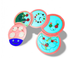 Тактильно-развивающая панель «Гусеница» - fgospostavki.ru - Москва