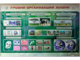 Электрифицированный стенд "Уровни организации жизни" - fgospostavki.ru - Москва