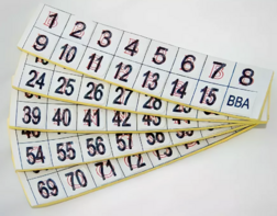 Фишки для игры «Бинго» со шрифтом Брайля - fgospostavki.ru - Москва