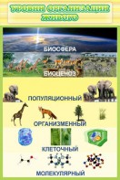 Стенд "Уровни организации живого" - fgospostavki.ru - Москва
