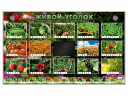 Комплект оборудования "Живой уголок" (растения) - fgospostavki.ru - Москва