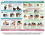 Комплект плакатов "Оказание первой доврачебной медицинской помощи" - fgospostavki.ru - Москва