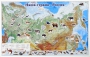 Магнитные карточки "Животные" - fgospostavki.ru - Москва