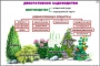 Комплект кодотранспарантов "Культурные растения" - fgospostavki.ru - Москва