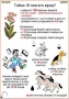 Комплект кодотранспарантов "Ядовитые растения" - fgospostavki.ru - Москва