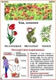Комплект кодотранспарантов "Ядовитые растения" - fgospostavki.ru - Москва